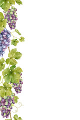Frame of bunch red grapes with leaves. Template of vine. Isolated watercolor illustrations for the design of labels of wine, grape juice and cosmetics, wedding cards, stationery, greetings cards © Fedulova_art