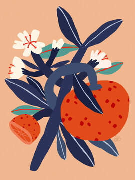 Orange Branch, Orange Simple Illustration, Branch With Fruits And Flowers