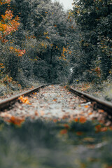 Tory/Tracks © Przemek Ogrodzinski