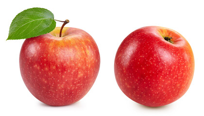 Fresh organic red apple isolated