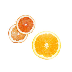 slice of orange isolated on white background 