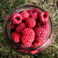 raspberry in glass