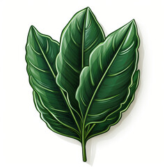 Vibrant Green Tropical Leaf Illustration

