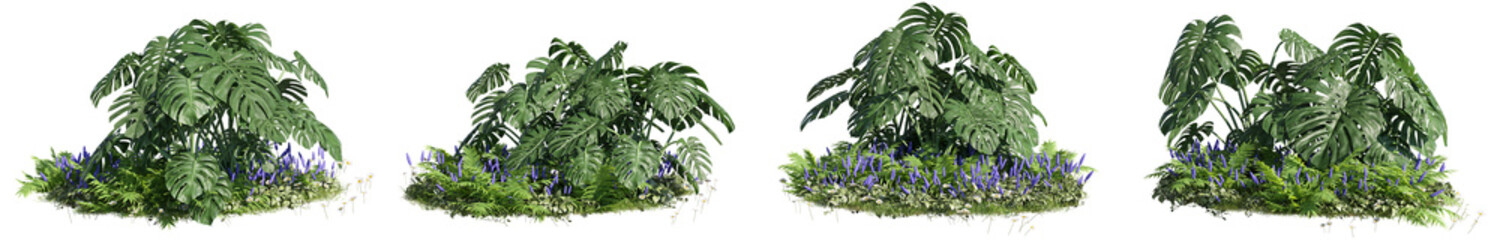 set of monstera plants, 3D rendering with a transparent background, for digital composition,...