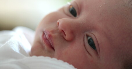 Close-up of newborn baby infant face awake