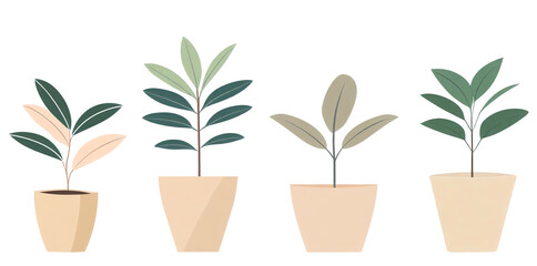 Group of four tropical houseplants in beige pots flat style illustration isolated cutout on transparent