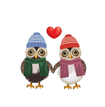 Couple of owls with scarf and hat holding hands, vector