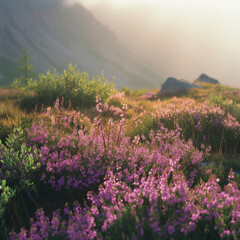 Obraz premium flowers on the hill