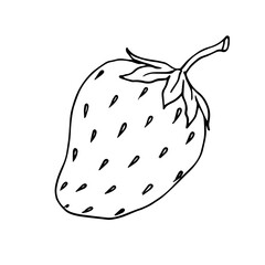 Sketch, doodle of summer strawberry.Vector graphics.