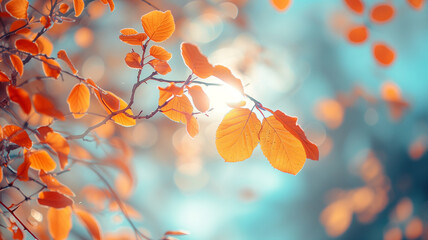 Autumnal tranquility with golden leaves, delicate twigs laden with vibrant orange leaves against a soft blue sky.
