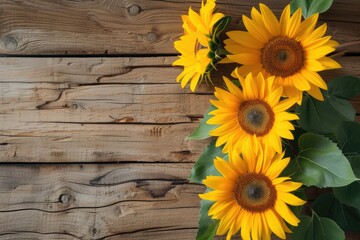 Obraz premium sunflowers on rustic wooden background many wooden slats