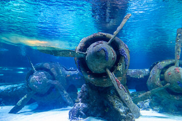 Airplane underwater in the aquarium.