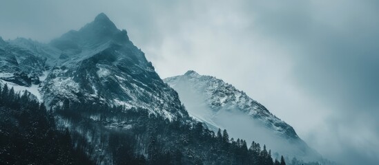 Gloomy view of snowy mountain peak with forest under overcast sky