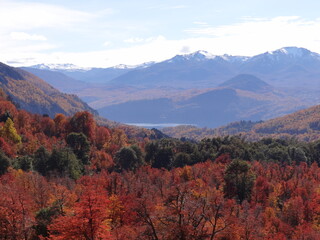 fall colors in the mountains