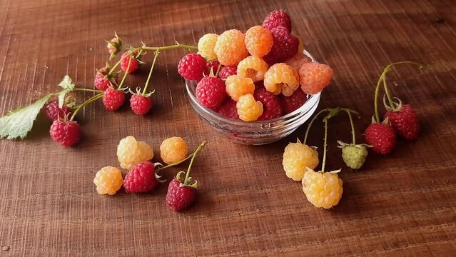 Yellow and red  raspberries fruit and leaves