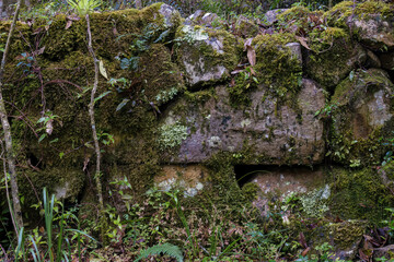 A  section of a very old stone wall covered in moss, at the hillside of the Iguaque mountain in the central Andes of Colombia.