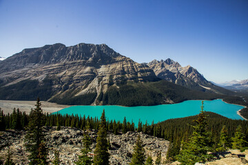Fototapeta na wymiar Peyto Lake, Banff National Park, Alberta, Canada