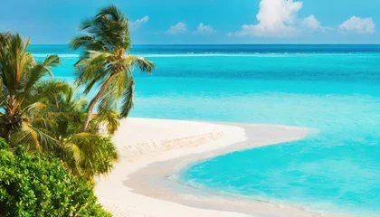 Selbstklebende Fototapete Türkis Beautiful beach with white sand, turquoise ocean, blue sky with clouds and palm tree over the water on a Sunny day. Maldives, perfect tropical landscape, wide format.