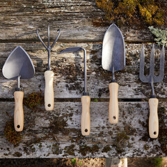 gardening tools collection on wooden old background