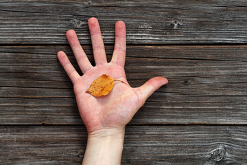 Small autumn leaf in young man hand on a wooden background. Photo was taken 26 September 2023 year, msk time. - 726729385