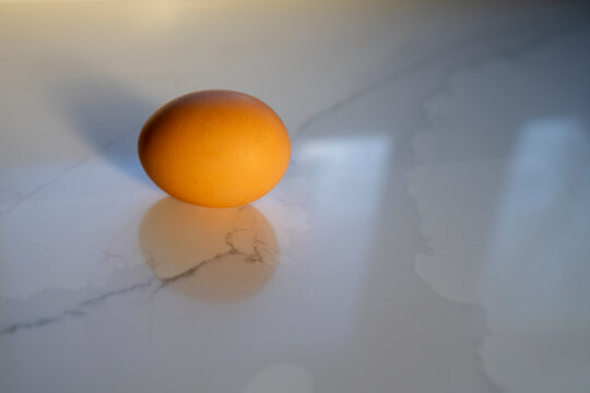 Fresh Brown Egg on Kitchen Counter in Morning Light