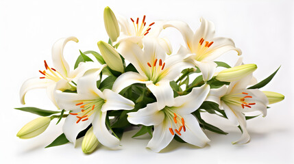 bouquet of white lilies,,
bouquet of snowdrops