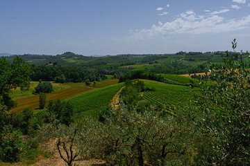 "Tuscan Elegance: A Pictorial Journey Through the Vineyards of Italy's Wine Country"
