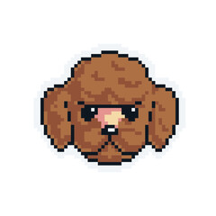 Fototapeta premium Toy Poodle - Cute Kawaii Cartoon Pixel Art Dog Icon Vector