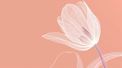  a close up of a flower on a pink background with a blurry image of a flower on a pink background.