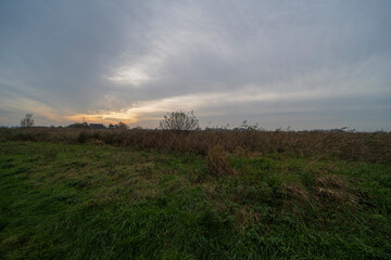 Nature reserve Waverhoek during the fall, the Netherlands