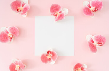 Trendy spring pattern made of pink orchid flower on pastel pink background with paper card note copy space. Minimal floral layout. Nature summer concept. Flowers aesthetic pattern backdrop. Flat lay.