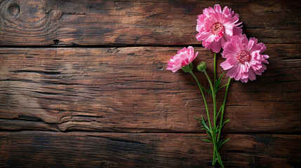 Three pink cosmos flowers with a bud and green stems against a wooden background
