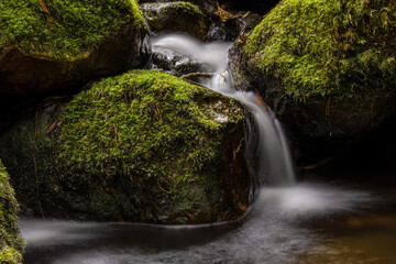 Long-exposure photograph of the stream and mossy rocks of a creek in the hillside of the Iguaque...