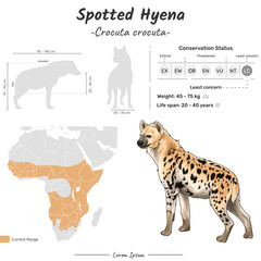 Crocuta crocuta Spotted Hyena geographic range