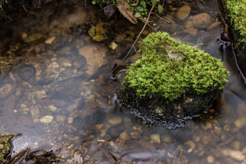 Long-exposure photograph of the stream and mossy rocks of a creek in the hillside of the Iguaque...
