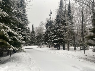 Fototapeta premium snow covered road