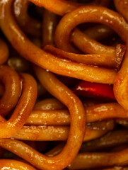 Udon stir-fry noodles with chicken and vegetables, close up.