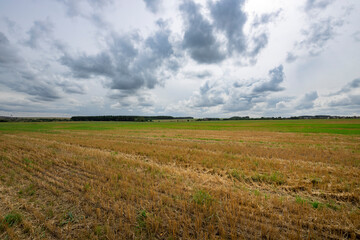 Fototapeta na wymiar agriculture, field after harvest, autumn time