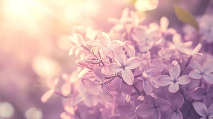 Foto op Canvas Beautiful Wide Angle soft spring background with lilac flowers. Panoramic pastel floral pink and purple template Web banner. greeting card with Copy Space. Illustration for Albums, notebooks. © Irina