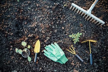 organic gardening background tools and seedling on earth