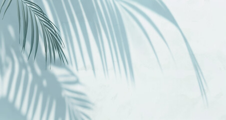 Palm leaves natural shadow overlay isolated on white textured wall. Background for product presentation, backdrop and mockup	