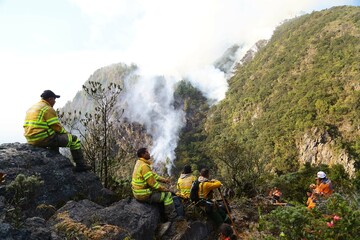 incendios, forestales, Bogotá