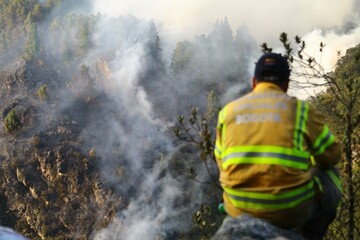 incendios, forestales, Bogotá - obrazy, fototapety, plakaty