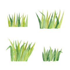 Set of watercolor grass. Simple cartoon green plants vector illustration. Meadow elements - 726770595
