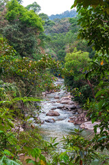 Fototapeta na wymiar Cascading waterfall and landscape with a mountain stream in the rainforest. Serene natural scenery with lush greenery, flowing water, and a tranquil atmosphere.