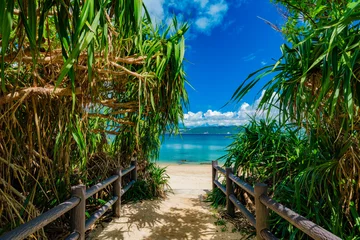 Foto op Canvas Dramatic view of tropical blue sea or ocean by the white beach and floating a cloud in summer, Okinawa in Japan, Nobody, Landscape or travel, High resolution over 50MP for wallpaper © Akio Mic