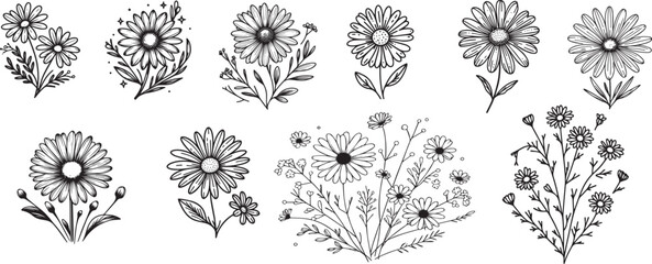 hand drawing Set of daisy flowers, 10 styles without background isolated. vector illustration.