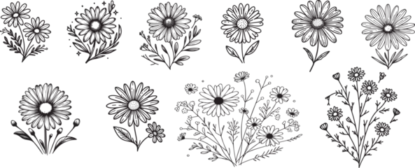 Foto op Plexiglas hand drawing Set of daisy flowers, 10 styles without background isolated. vector illustration. © Luka