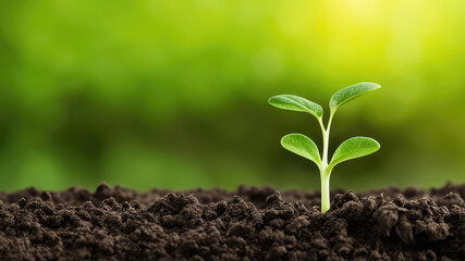 Fototapeta premium Green sprout growing from seed over nature green bokeh background.New life.Generative AI