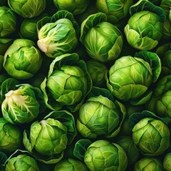 realistic and detailed Background of fresh Brussels Sprouts arranged together on whole image 